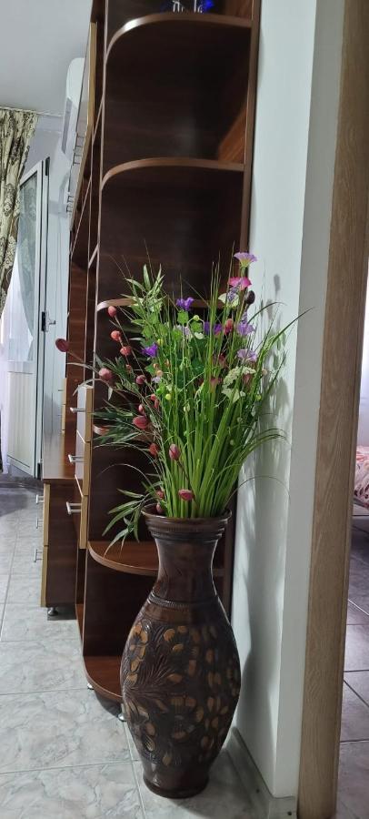 Brancoveanu Apartament'S Bukarest Exteriör bild