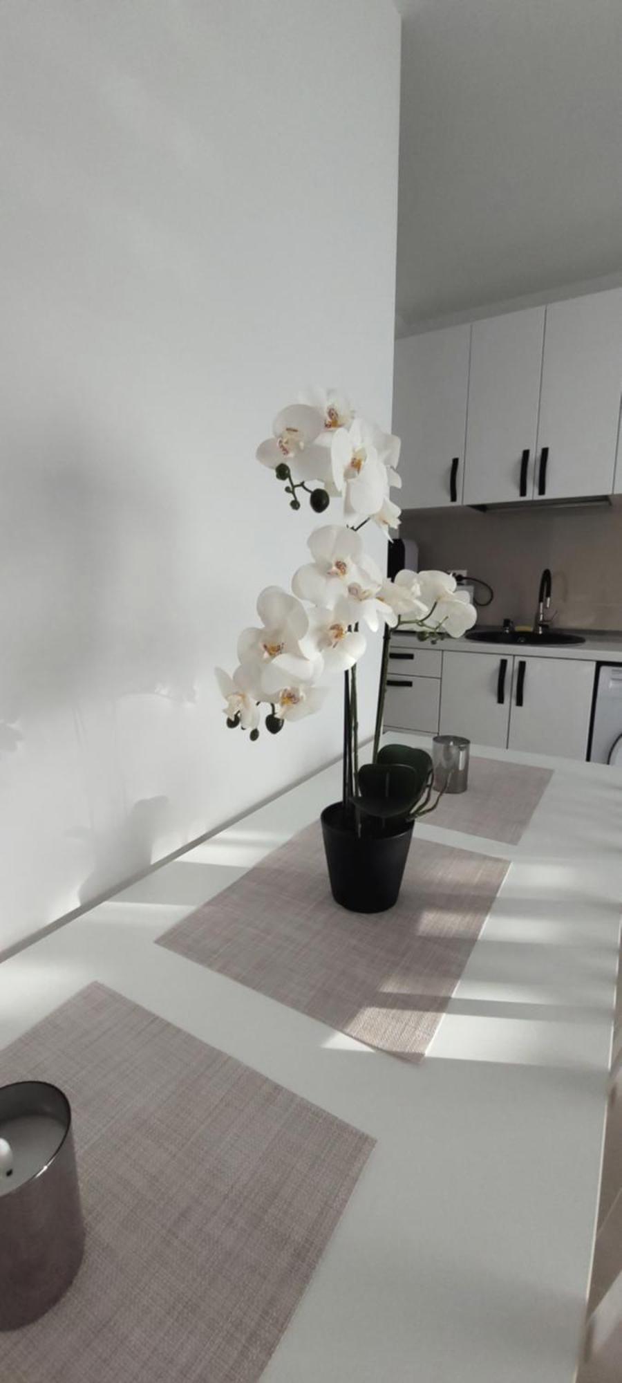 Brancoveanu Apartament'S Bukarest Exteriör bild